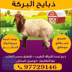 ذبايح للبيع #اغنام للبيع #غنم للبيع #خرفان للبيع97729146#