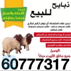 توصيل ذبايح البيت 60777317