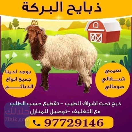 aghnam-llbyaa-thbayh-llbyaa-ghnm-llbyaa-97729146-big-0