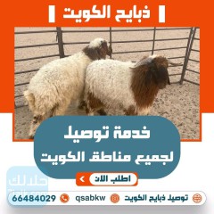 توصيل ذبايح الكويت - خرفان للبيع - توصيل ذبايح لباب البيت